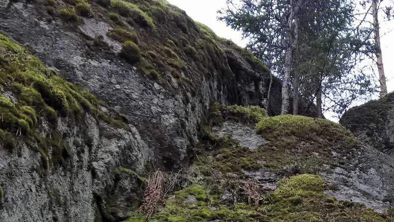 A jump off the rock