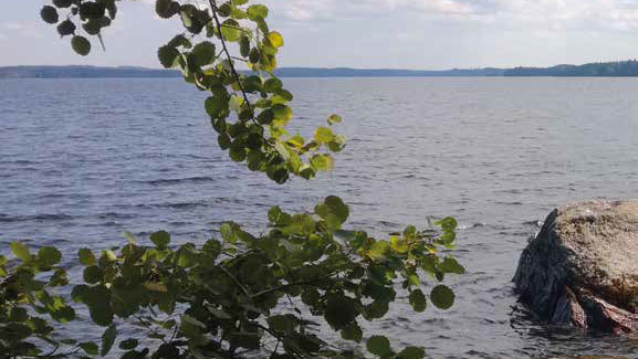 One summer’s day on water rock