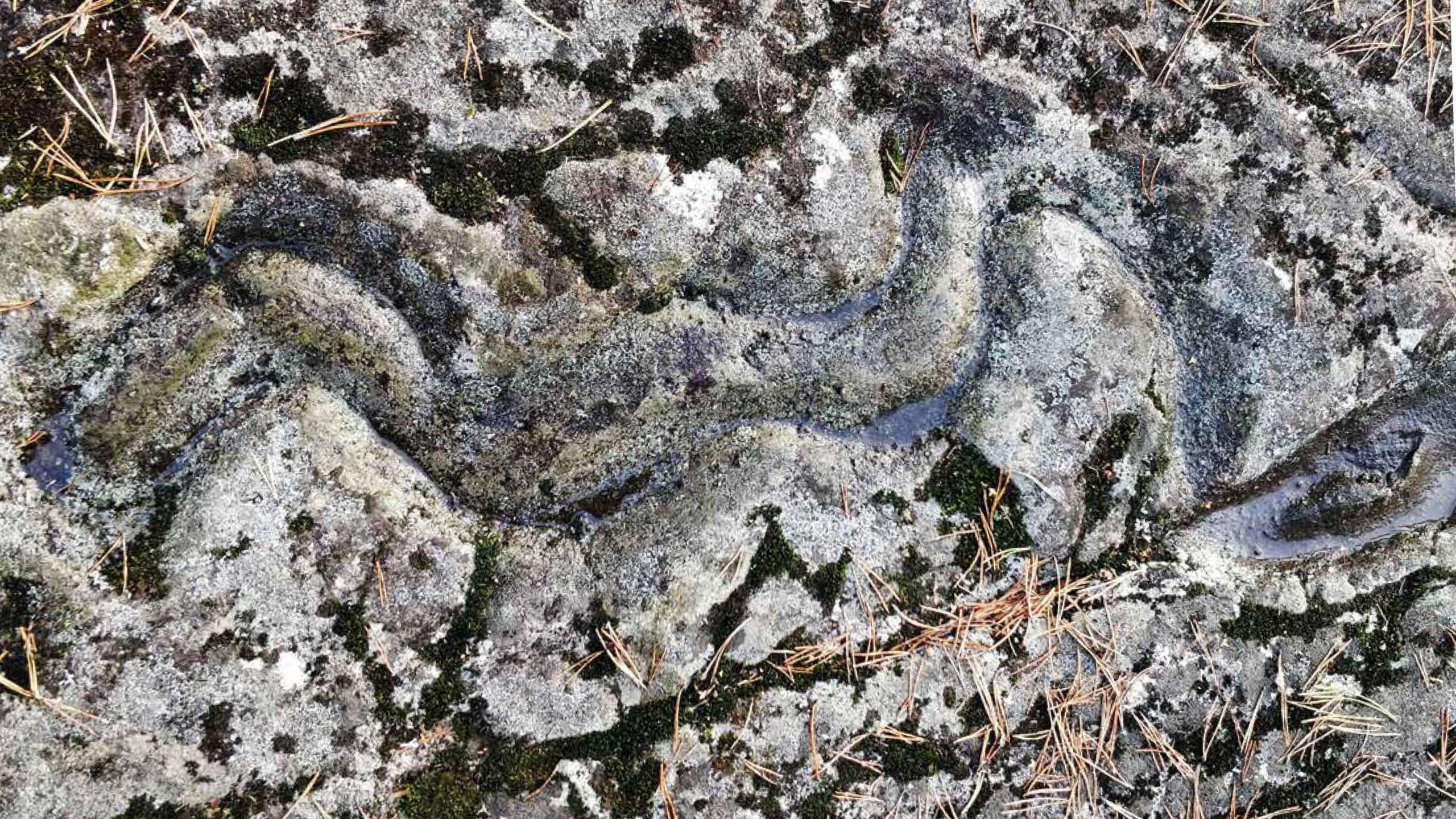 A snake's shape carved on a rock.