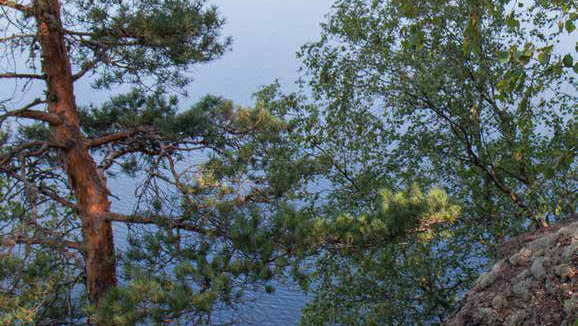 A landscape with a rock, trees and a lake.