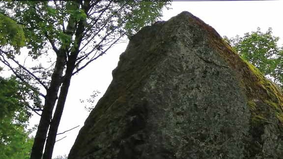 A big rock in a forest.