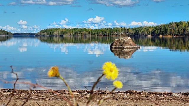 Kesäinen järvimaisema.