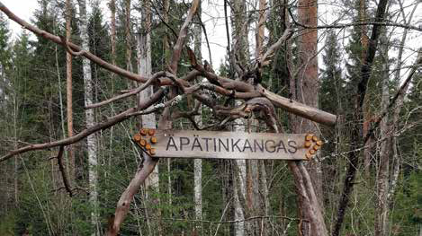 Äpätinkangas