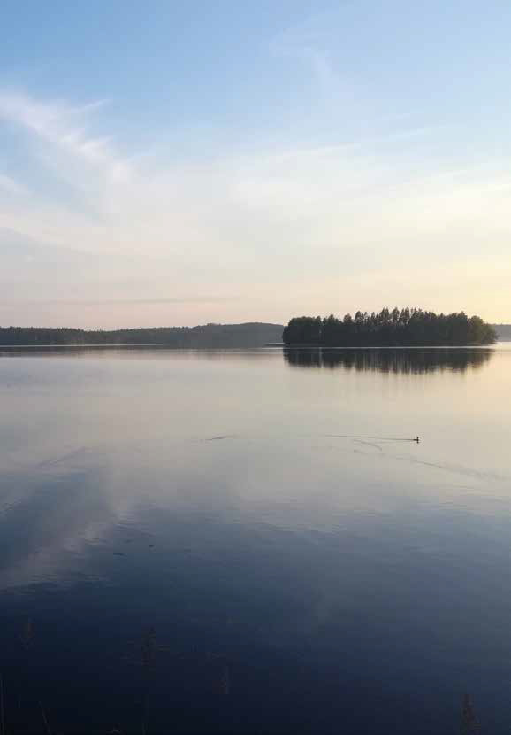 Kaunis järvimaisema. Vesi on peilityyni.